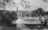 East Graves Avenue - Orange City, Florida