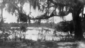 View of Orchard Pond from the Boy Scout camp