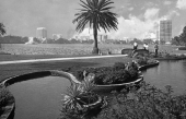 Orlando skyline looking north across Lake Eola.