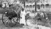 Hay dealer in front of the Larkin Hotel - Palatka, Florida