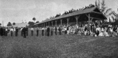 Royal Poinciana Hotel grandstand - Palm Beach, Florida