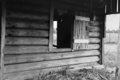 Detail of log building construction - Alachua County, Florida