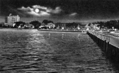 North Atlantic Squadron participating in naval drill - Pensacola Bay.