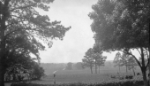 View from Luna Plantation showing one of the roads