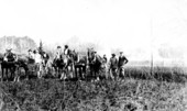 Rabbit hunt at Tall Timbers - Tallahassee, Florida.
