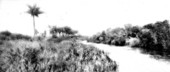 River scene