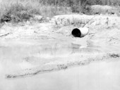 View of drain pipe - Chipola River, Florida