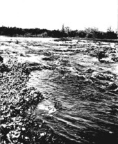 Rapids on the Miami River