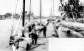 Sailboats docked on the Miami River