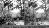 Near sandy bluff