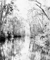 The Narrows