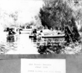 Old picnic grounds on the Pithlachascotee River
