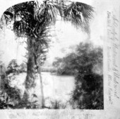 Small boat on the Suwannee River