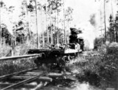 Osceola Cypress Company logging train going into the Big Gum Cypress Swamp