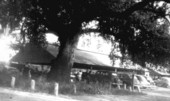 Farmer's market on Gaines - Tallahassee, Florida.
