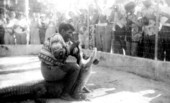 Mikasuki Seminole Indian wrestling an alligator.