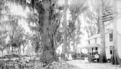 Dwelling in Saint Cloud, Florida.