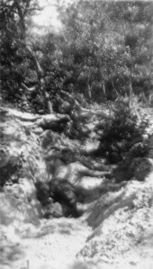 Excavation at Tower Mound - Saint Marks National Wildlife refuge, Florida