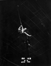 LaNorma, doing stunts for filming - Sarasota, Florida
