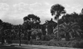 House in Sarasota.