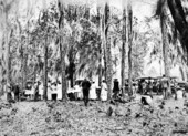 Picnic at Carnation Lake - Sebring, Florida