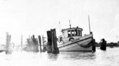 Captain A. L. Wing