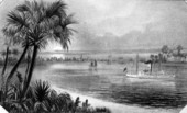 Steamer "St. Johns" in Fernandina Harbor