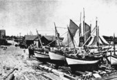Greek sponge fleet at Tarpon Springs