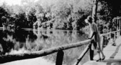 Homsassa Springs, Florida