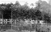 Picnic at the springs - Silver Springs, Florida