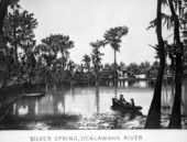 View across Silver Springs - Ocklawaha River, Florida