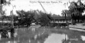 View of Sulphur Springs - Tampa, Florida.