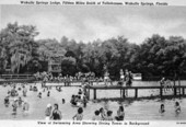 View of swimming area and diving tower - Wakulla Springs, Florida