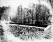 Looking south east at control dam - Highlands Hammock State Park, Florida