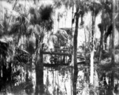 Rustic bridge on South Oak trail - Highlands Hammock State Park, Florida