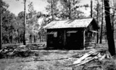 Scout cabin - O'Leno State Park, Florida