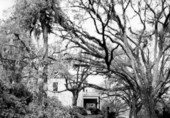 Goodwood - Tallahassee, Florida.