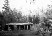 Goodwood shed - Tallahassee, Florida