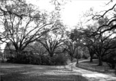 Grounds showing exit to west of main house - Tallahassee, Florida