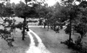 Harold F. Richards' driveway