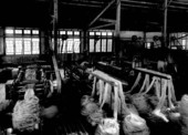 Rope company - Tampa, Florida