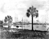 Boats moored on the Hillsborough River - Tampa, Florida.
