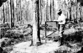 Testing the turpentine