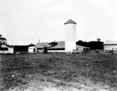 Dairy farm - Volusia County, Florida