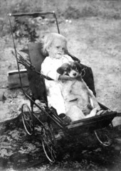 Bond Hamilton in wagon with puppy - Woodville, Florida