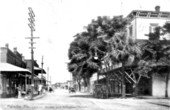 Lemon Street and Arlington Hotel - Palatka, Florida