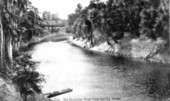 View of the Suwannee River from the Spring House - White Springs, Florida