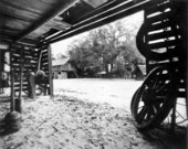 View across the farm yard - Tallahassee, Florida.