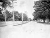 Street scene - Fort Myers, Florida.