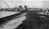 Yacht "Nohab" beached by the 1926 hurricane.
